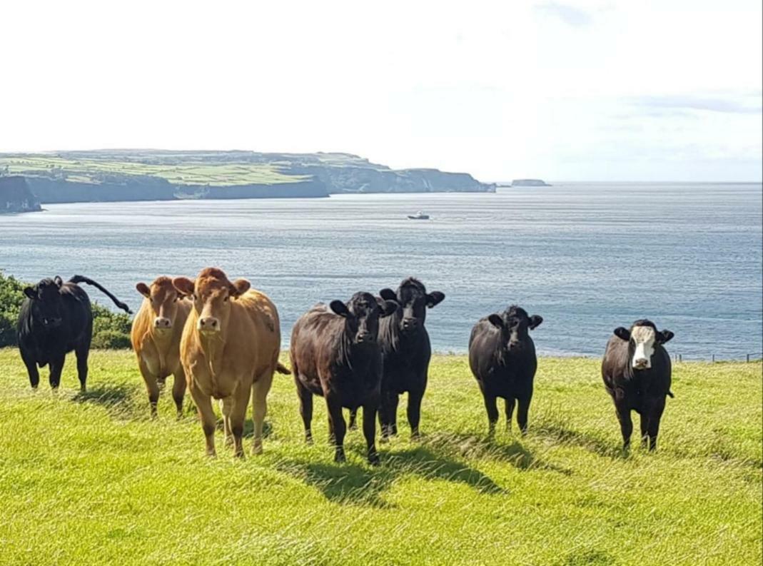 Tornabodagh House Ballycastle Esterno foto